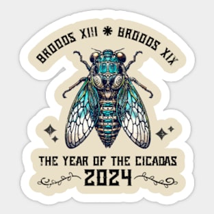 Cicada Lover Brood XIX Brood XIII Year Of The Cicada 2024 Sticker